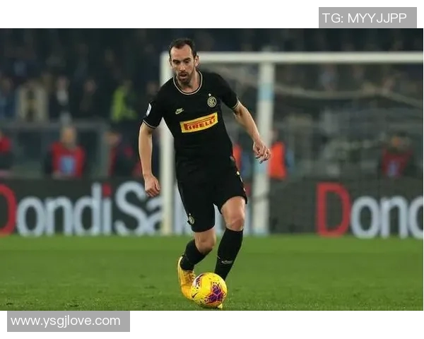 戈丁车祸重伤,恐影响欧洲杯表现 戈丁车祸重伤,恐影响欧洲杯表现