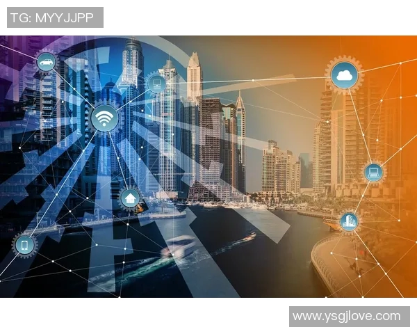 杨伟专访：探索和平精英的成长与未来发展之路